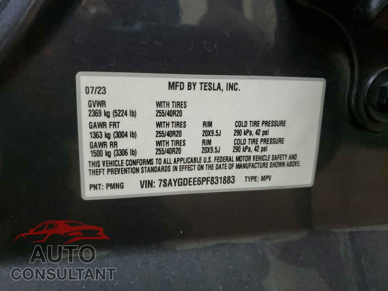 TESLA MODEL Y 2023 - 7SAYGDEE6PF831883