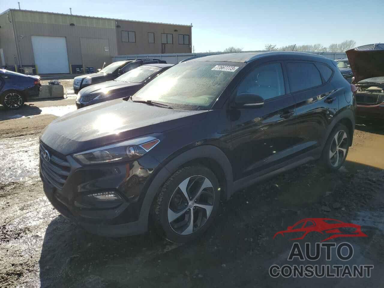 HYUNDAI TUCSON 2016 - KM8J33A23GU030637