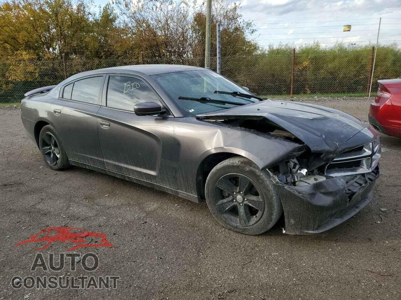DODGE CHARGER 2014 - 2C3CDXBGXEH307834