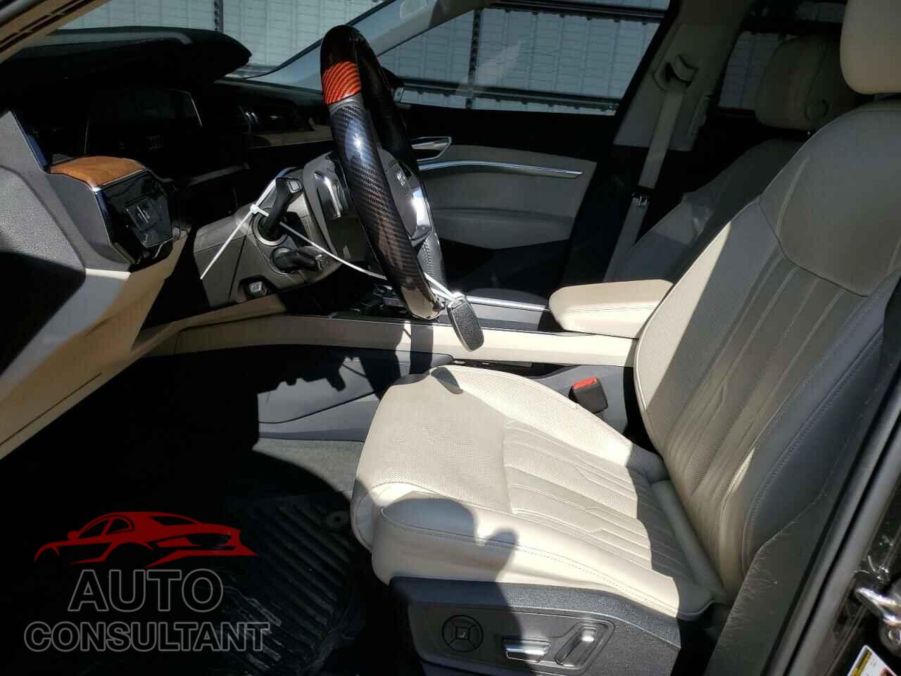 AUDI E-TRON 2019 - WA1VAAGE1KB009575