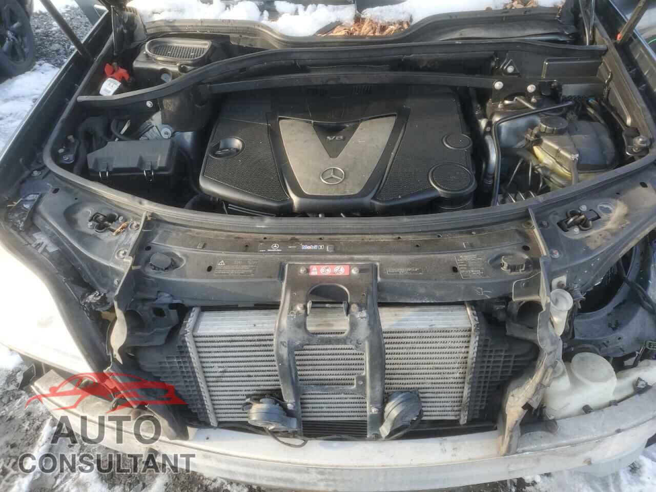 MERCEDES-BENZ GL-CLASS 2011 - 4JGBF2FE8BA746081