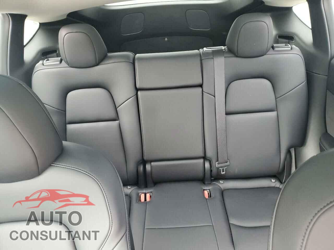 TESLA MODEL Y 2022 - 7SAYGDEEXNF307147