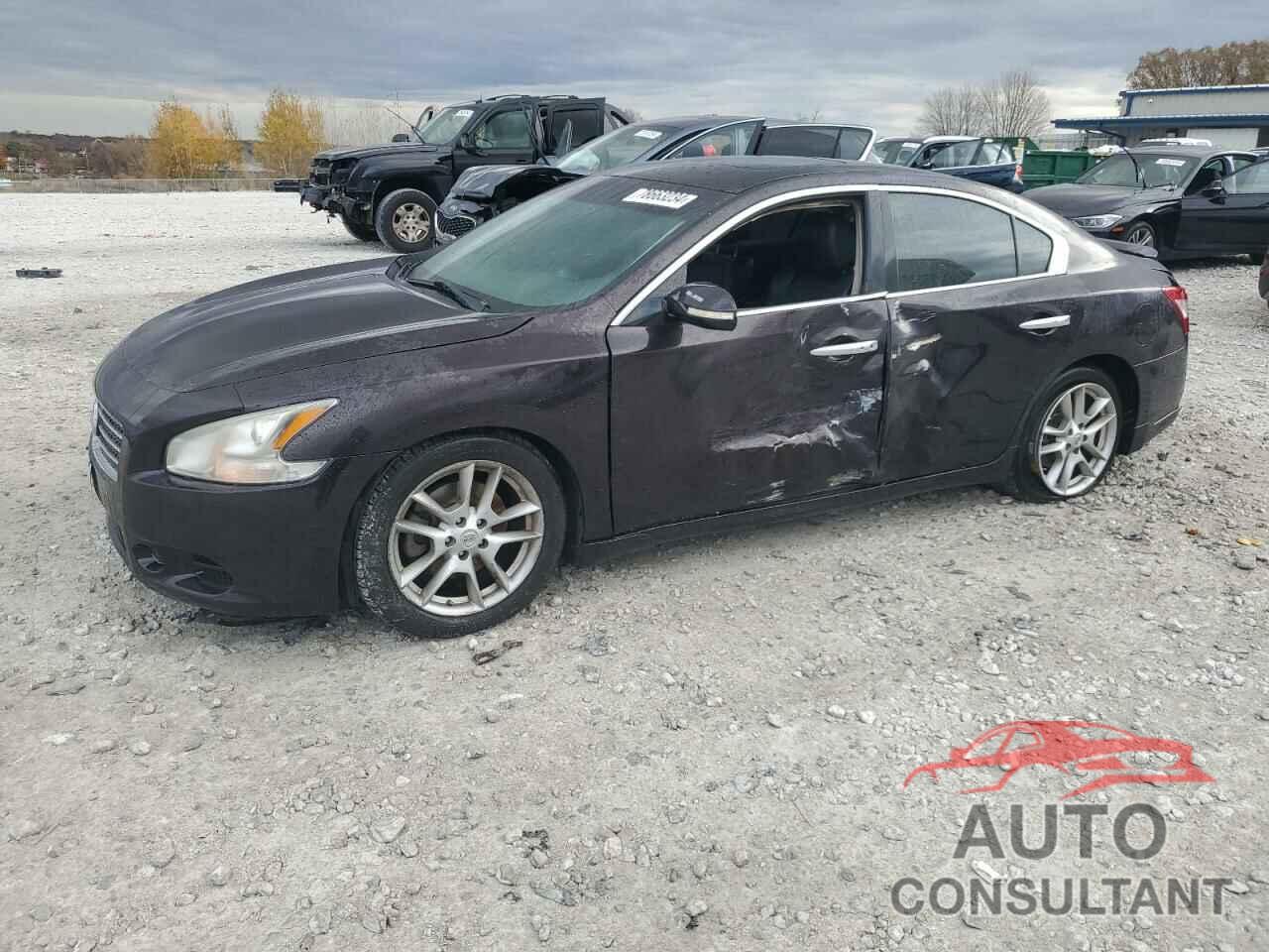 NISSAN MAXIMA 2010 - 1N4AA5AP0AC843745