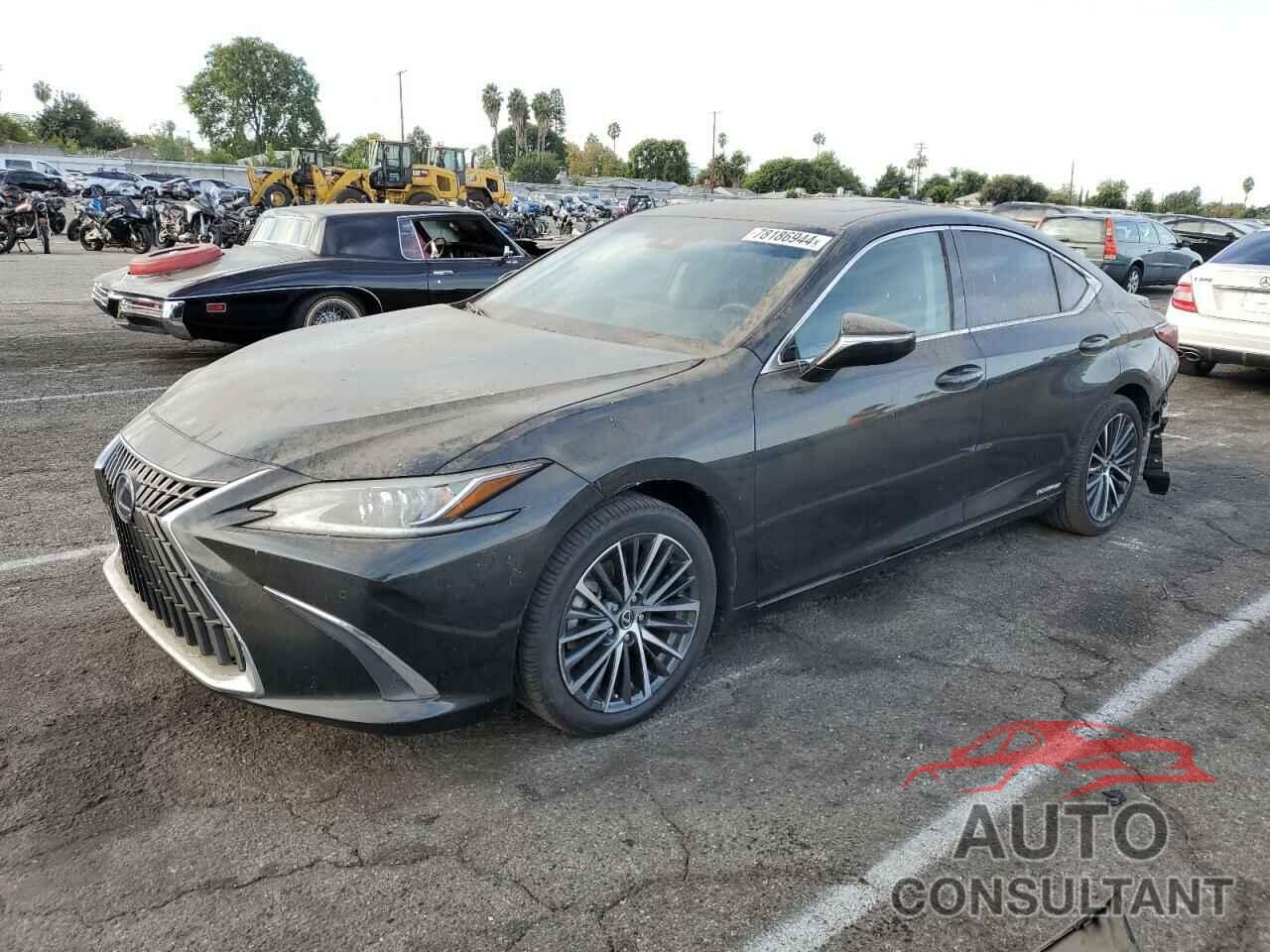 LEXUS ES300 2022 - 58ADA1C19NU023077