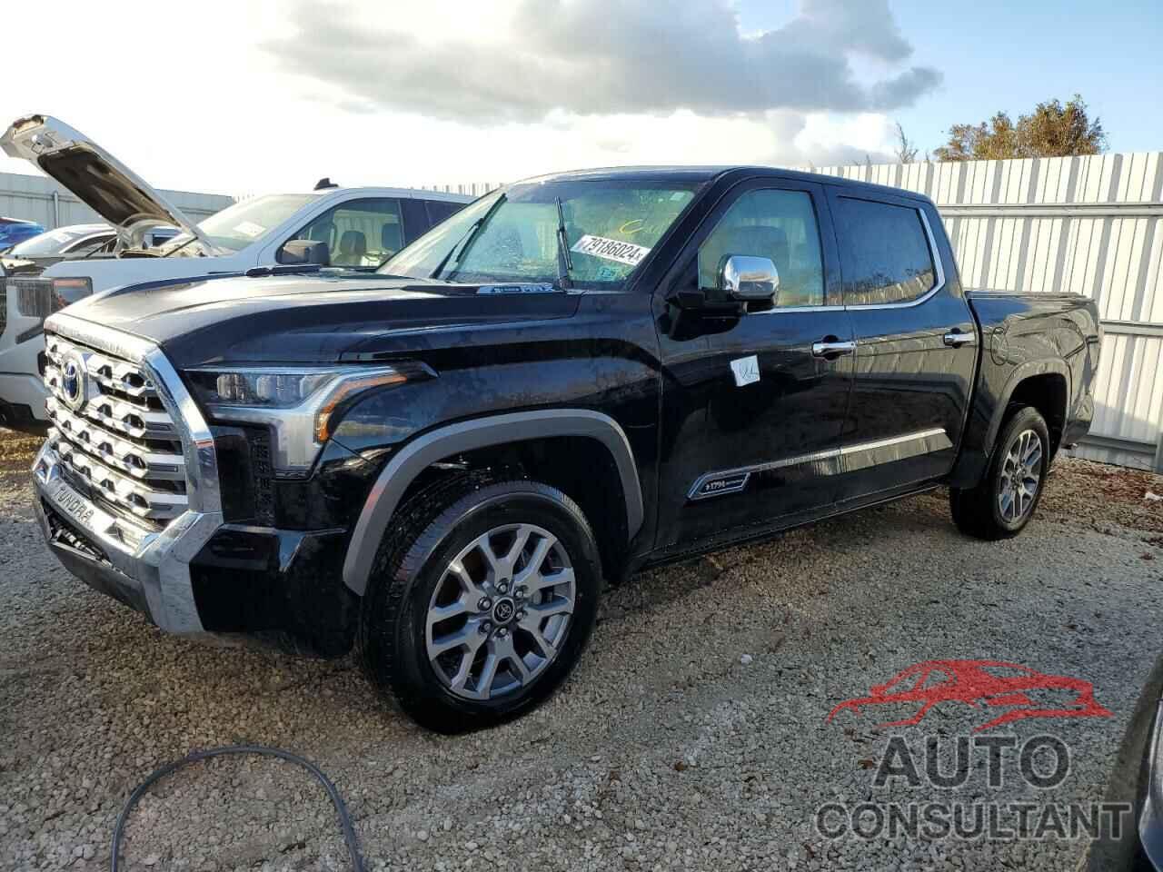 TOYOTA TUNDRA 2024 - 5TFMC5DB8RX054569