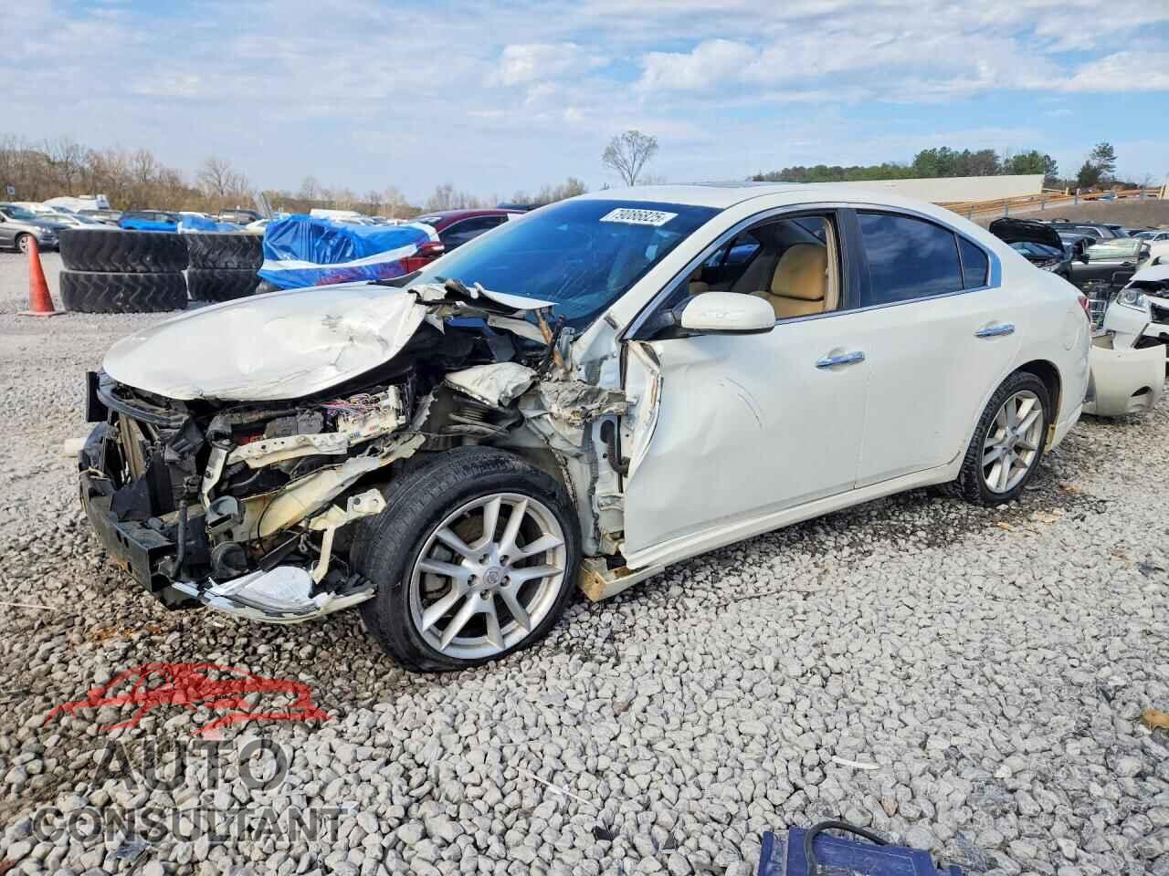 NISSAN MAXIMA 2011 - 1N4AA5AP6BC845663