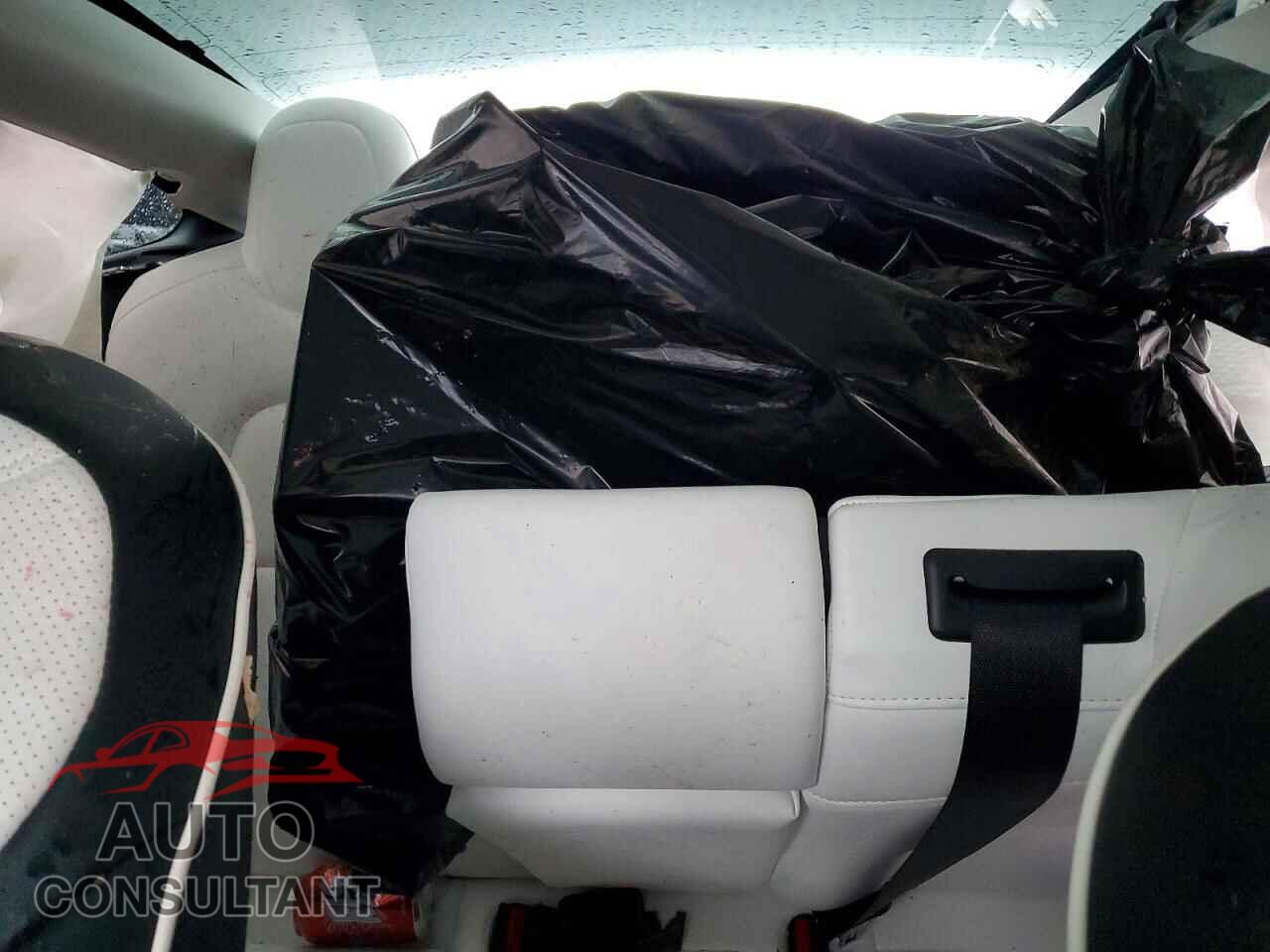 TESLA MODEL 3 2019 - 5YJ3E1EA4KF323445