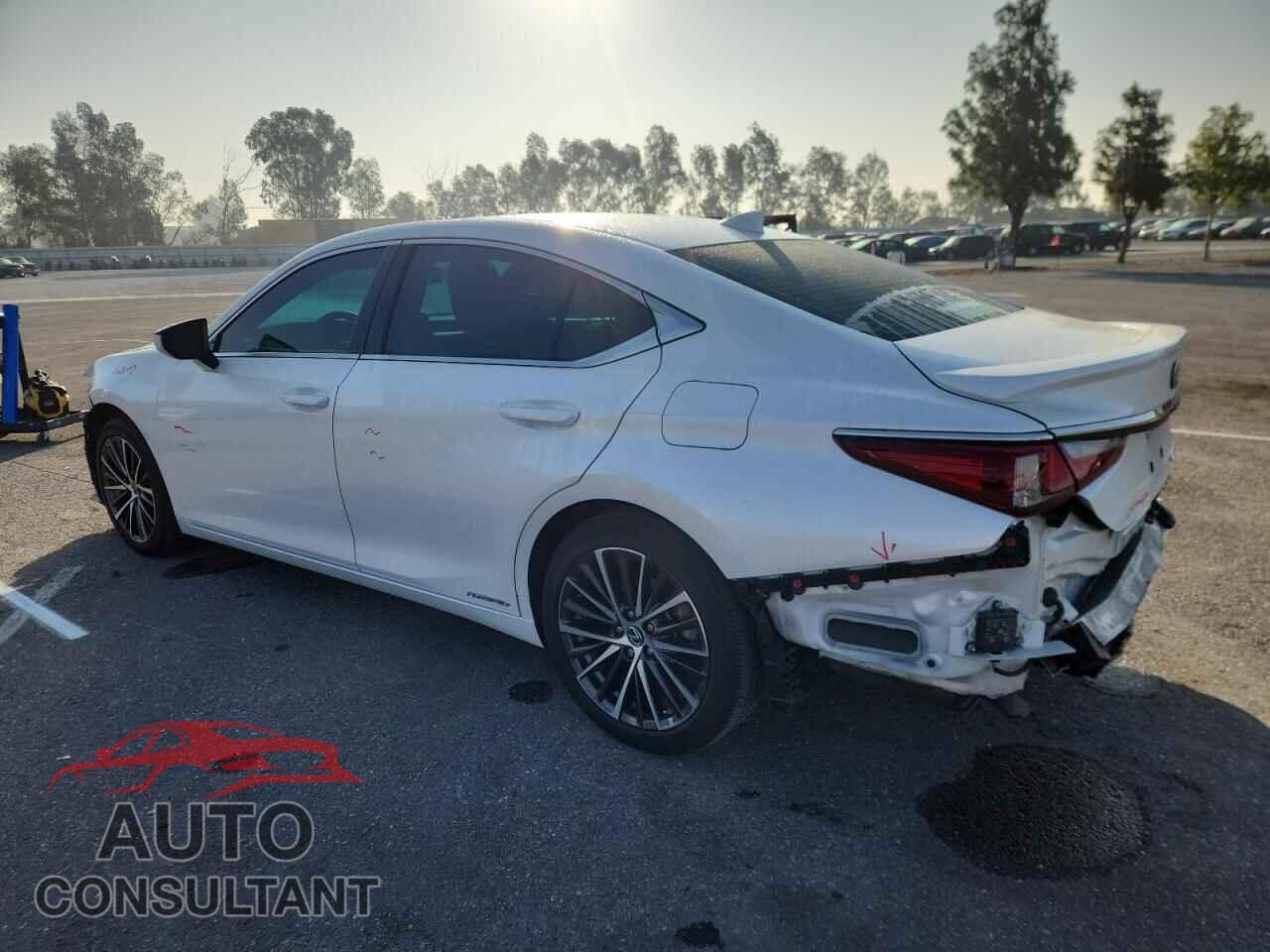 LEXUS ES300 2022 - 58ADA1C19NU023791