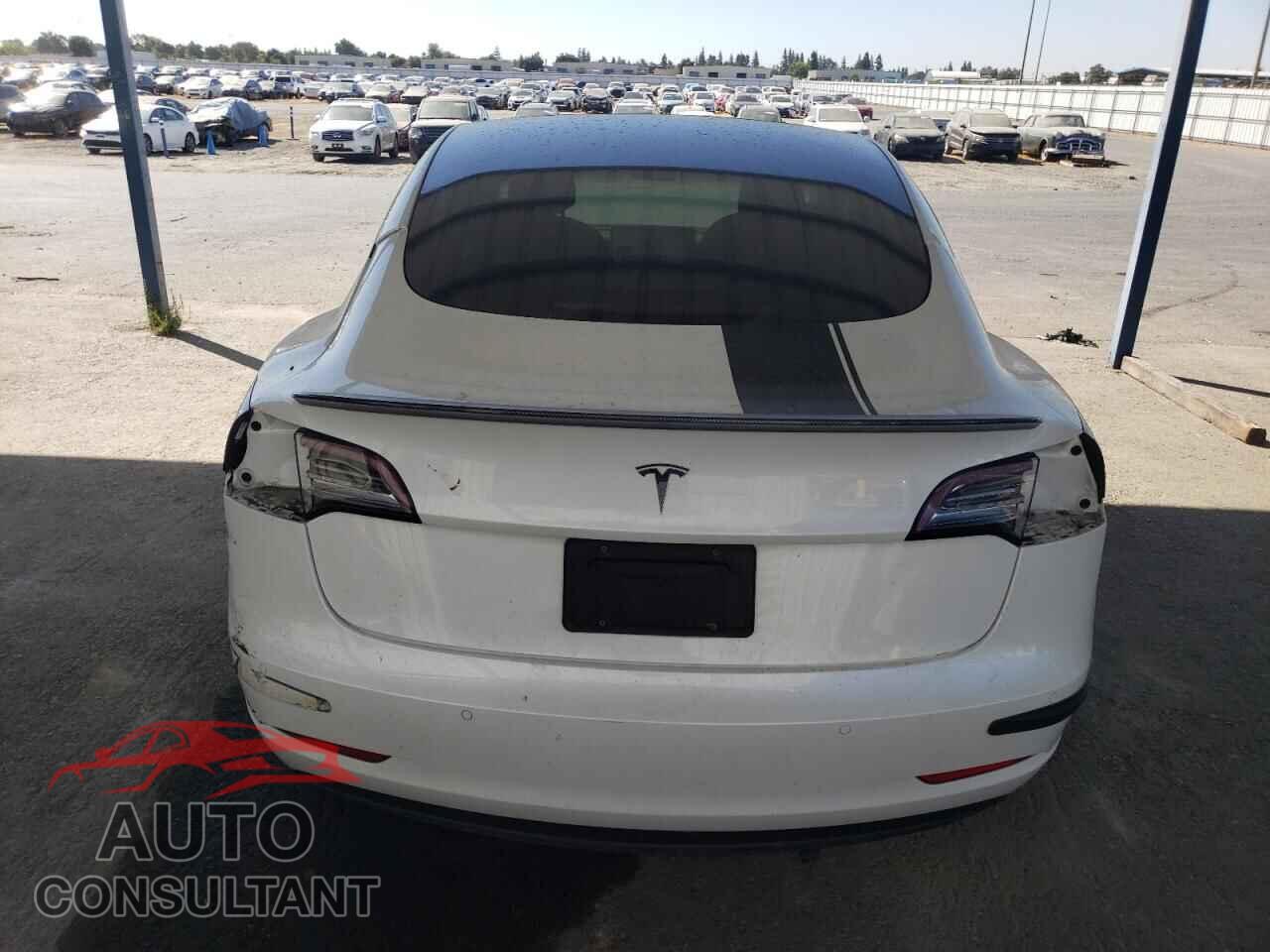 TESLA MODEL 3 2021 - 5YJ3E1EA2MF029741