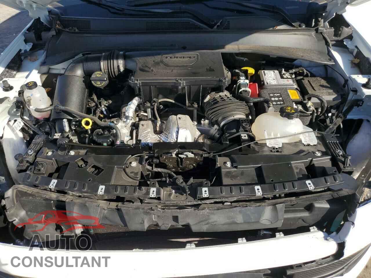 JEEP COMPASS 2024 - 3C4NJDAN4RT141562