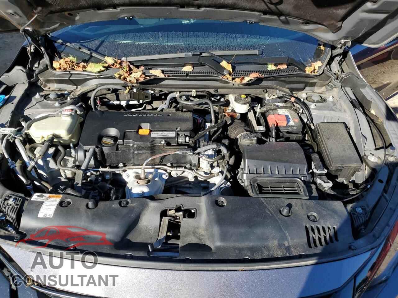 HONDA CIVIC 2019 - 2HGFC4B68KH303697