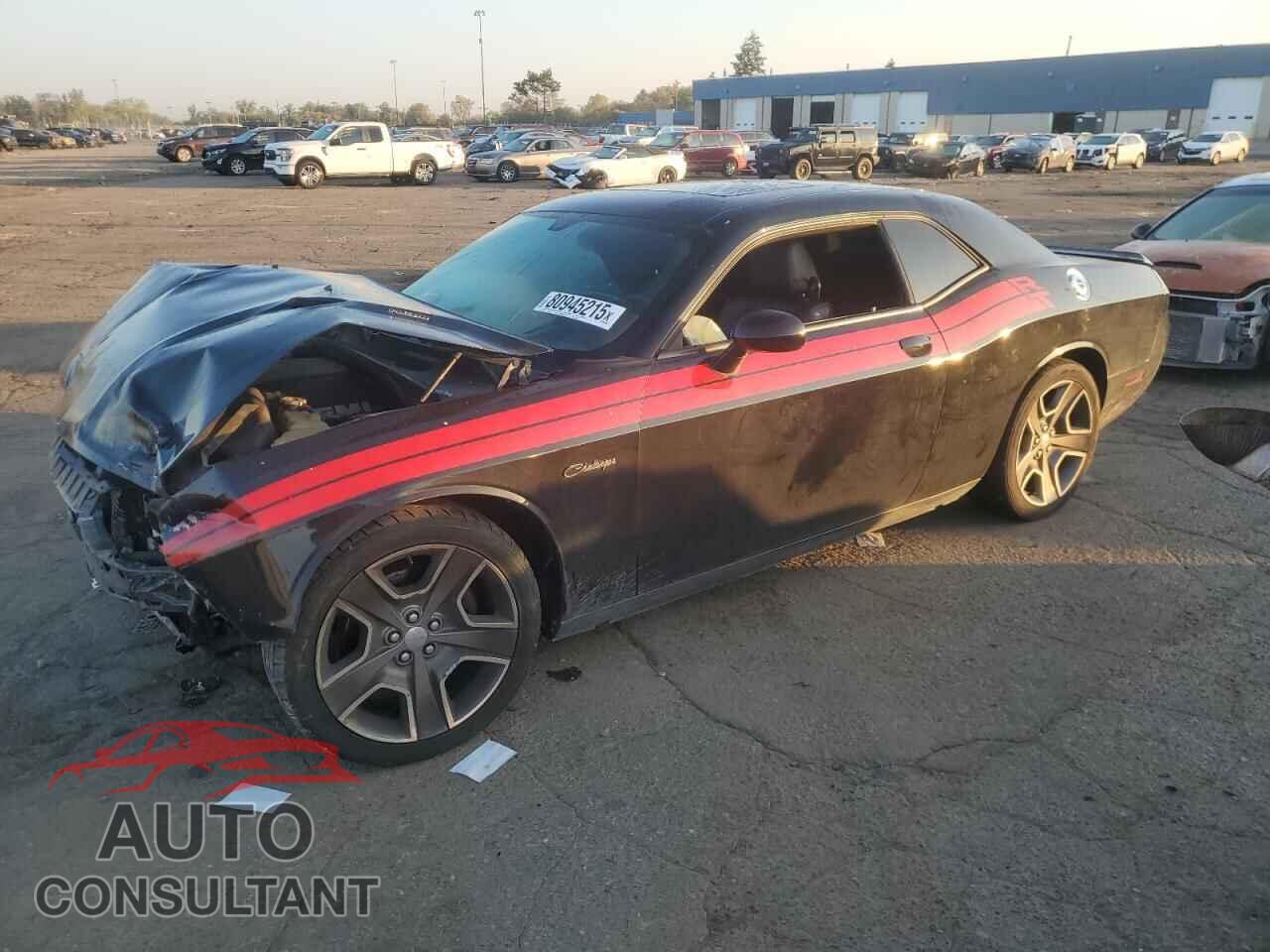 DODGE CHALLENGER 2012 - 2C3CDYBT6CH124642