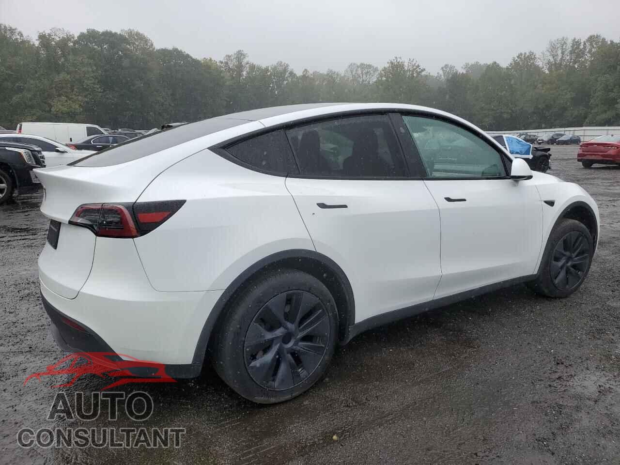TESLA MODEL Y 2024 - 7SAYGDED2RF155524