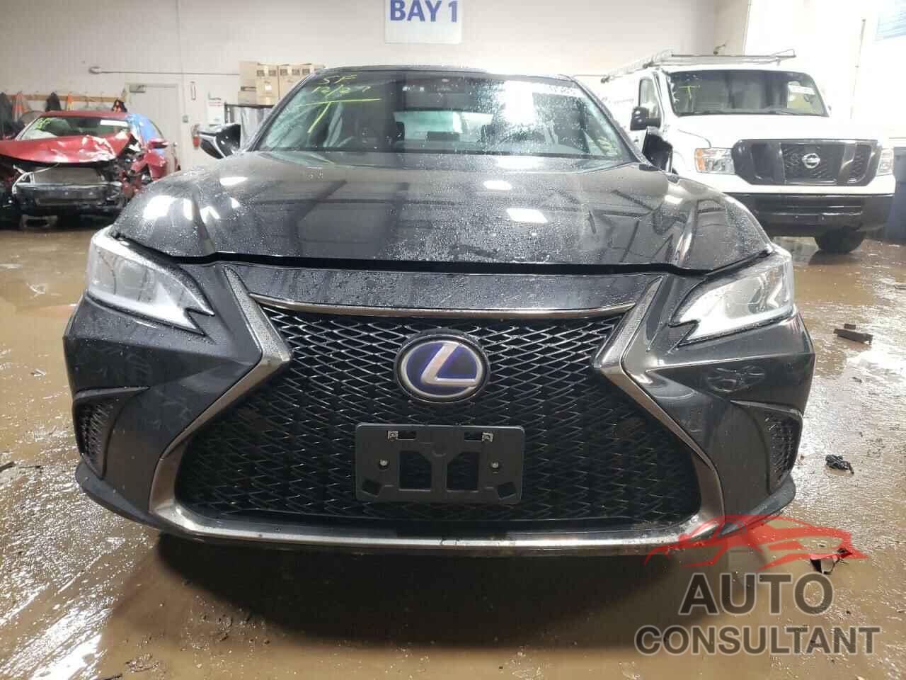 LEXUS ES300 2022 - 58AGA1C19NU016997