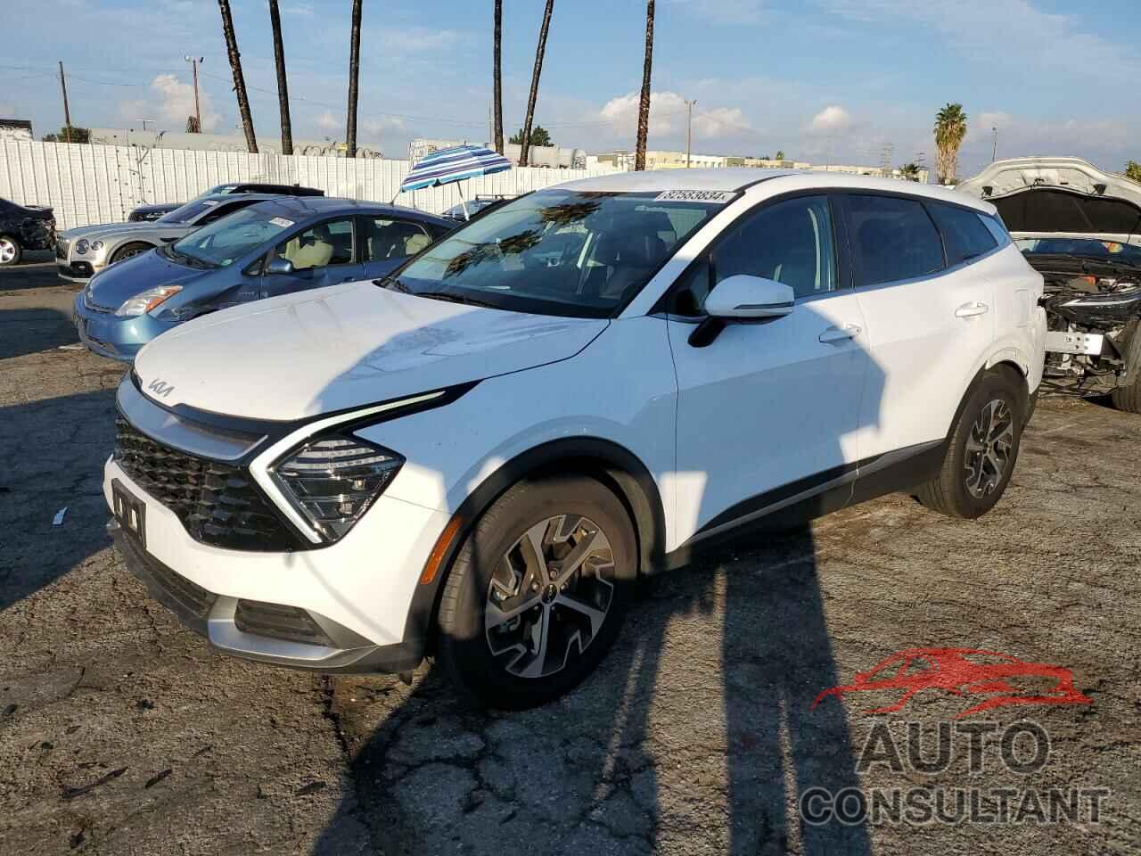 KIA SPORTAGE 2024 - 5XYK33DF4RG169669