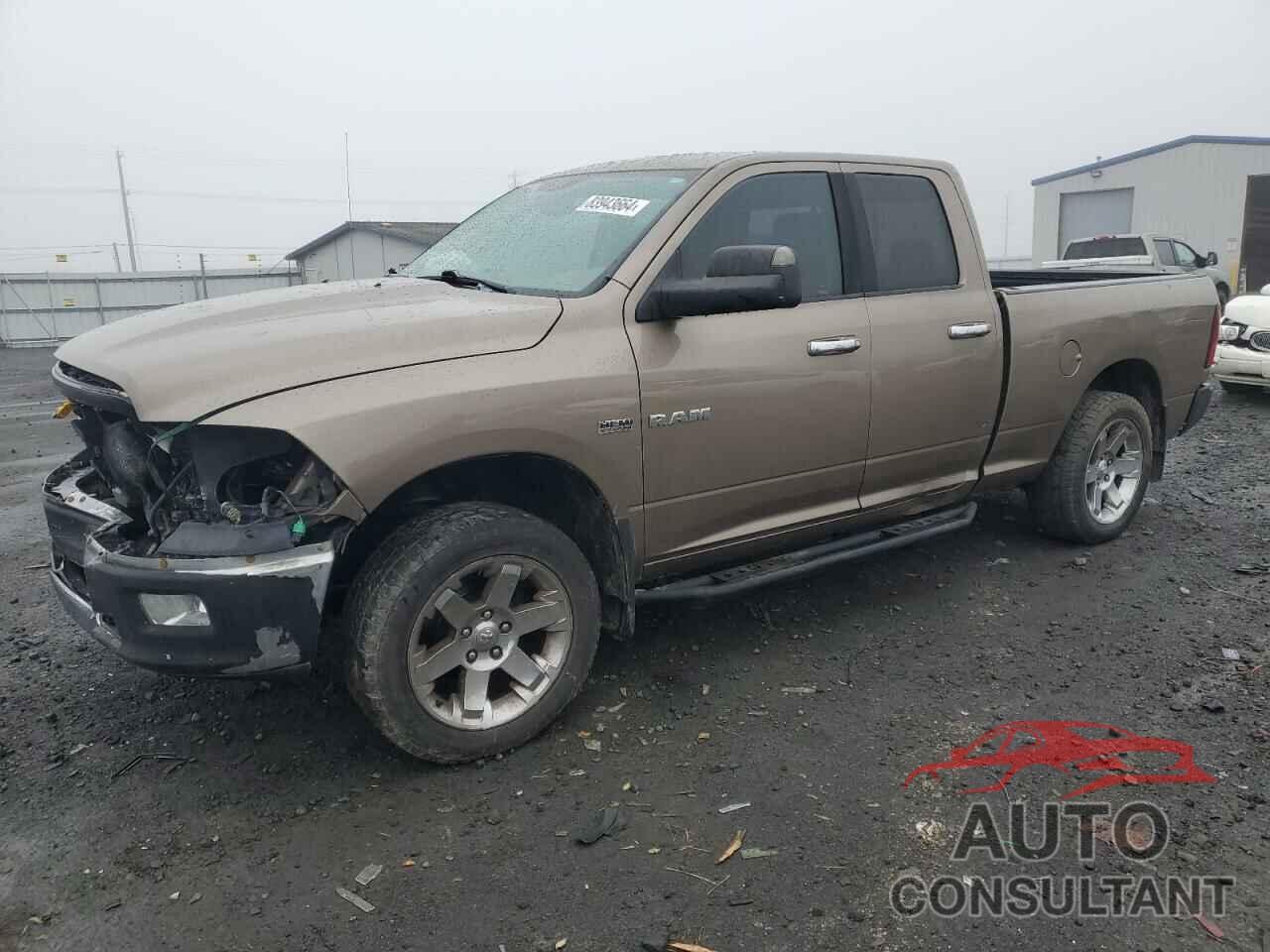 DODGE All Models 2009 - 1D3HV18TX9S781515