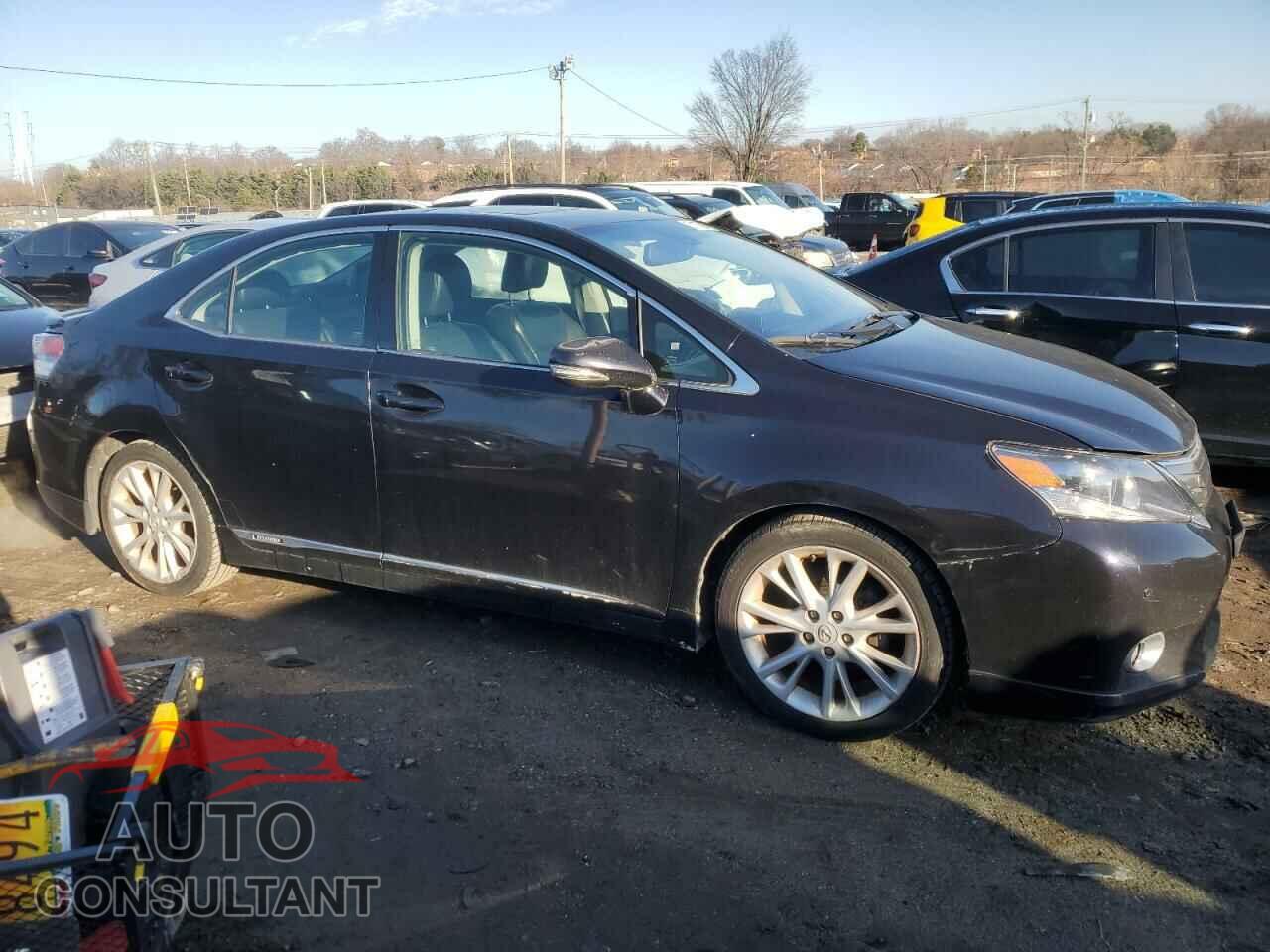 LEXUS HS 2010 - JTHBB1BA8A2018491