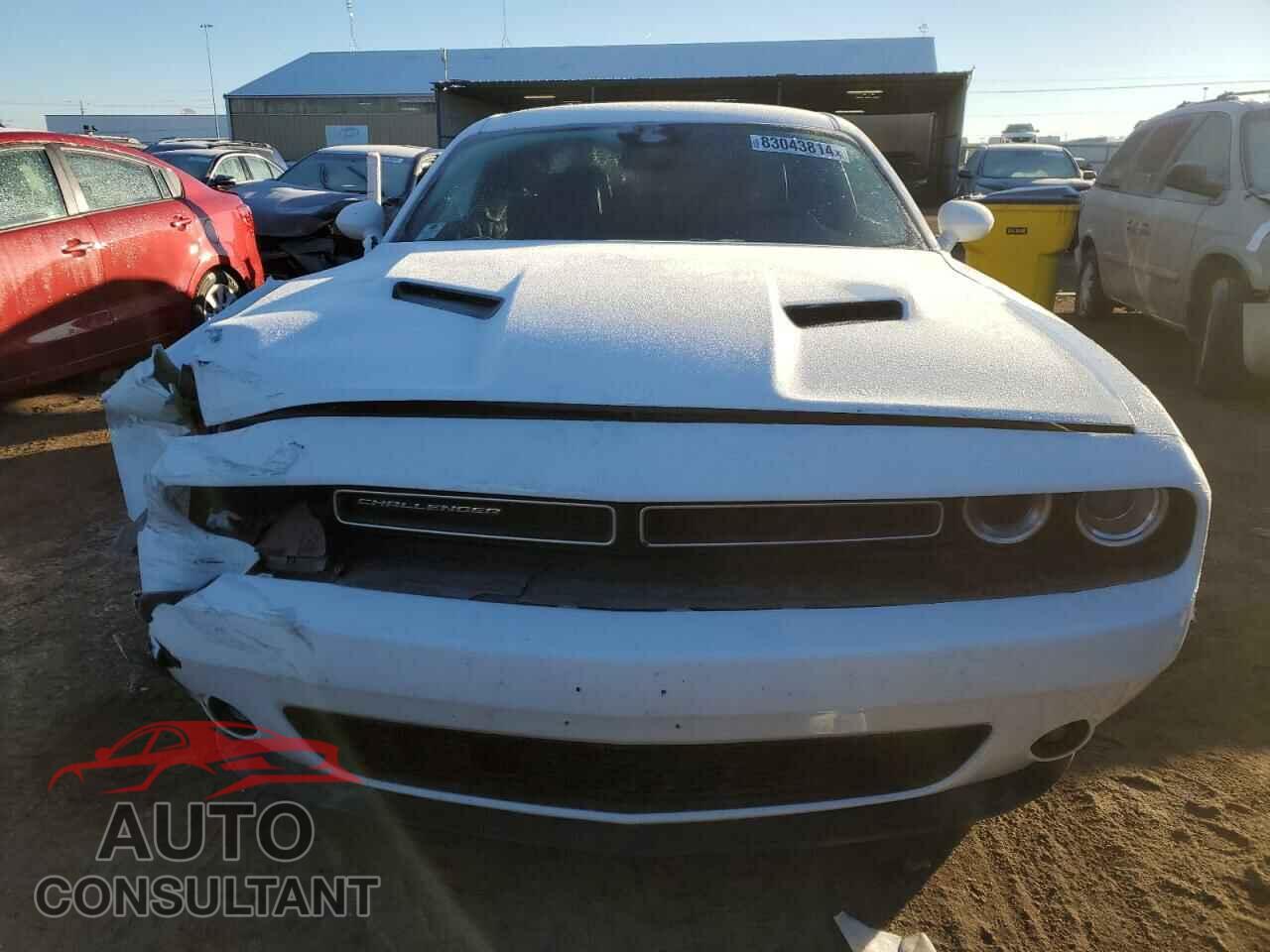 DODGE CHALLENGER 2019 - 2C3CDZAG5KH502183