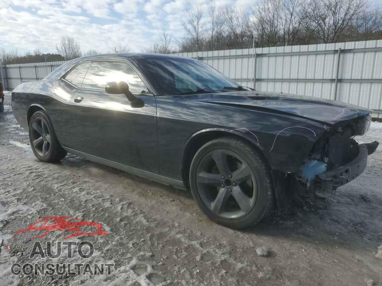 DODGE CHALLENGER 2014 - 2C3CDYAG6EH177087