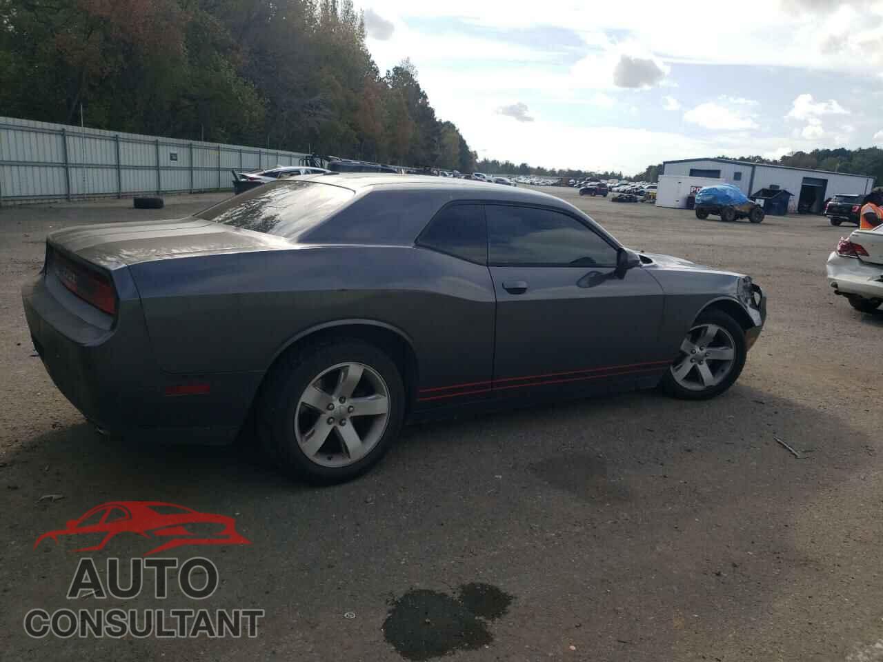 DODGE CHALLENGER 2013 - 2C3CDYAG9DH578969