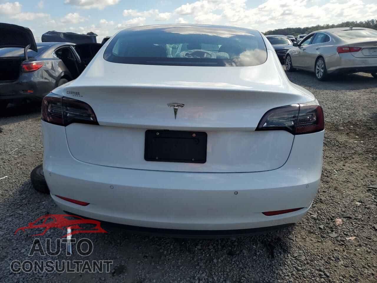 TESLA MODEL 3 2019 - 5YJ3E1EA8KF483702