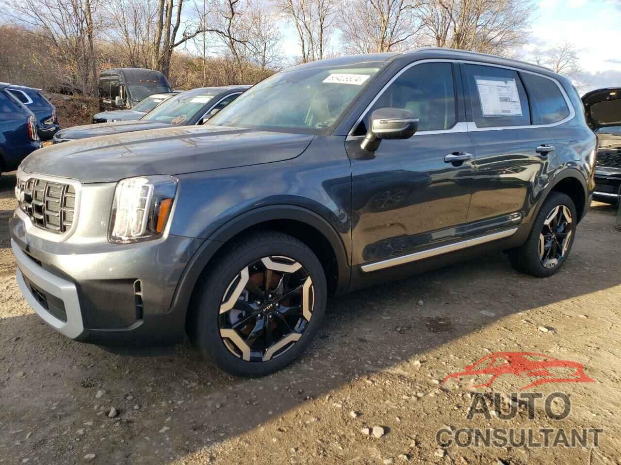 KIA TELLURIDE 2024 - 5XYP64GC8RG553197