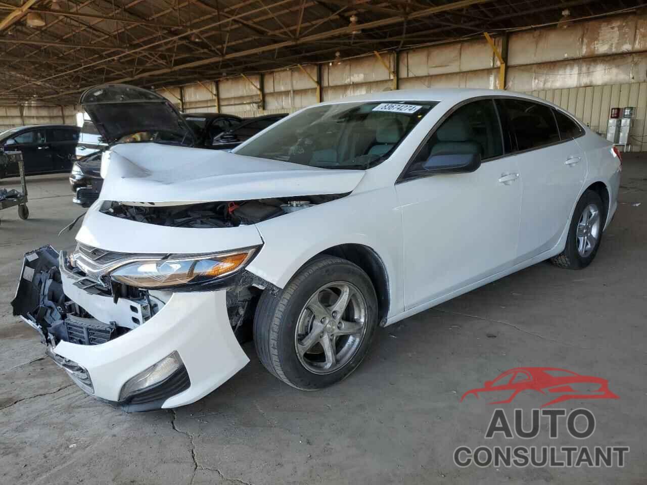 CHEVROLET MALIBU 2019 - 1G1ZB5ST9KF198673
