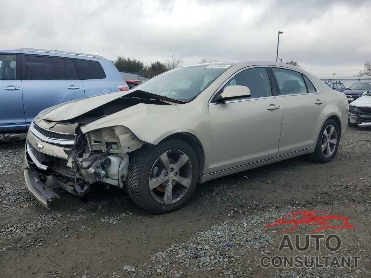 CHEVROLET MALIBU 2011 - 1G1ZC5E18BF203238