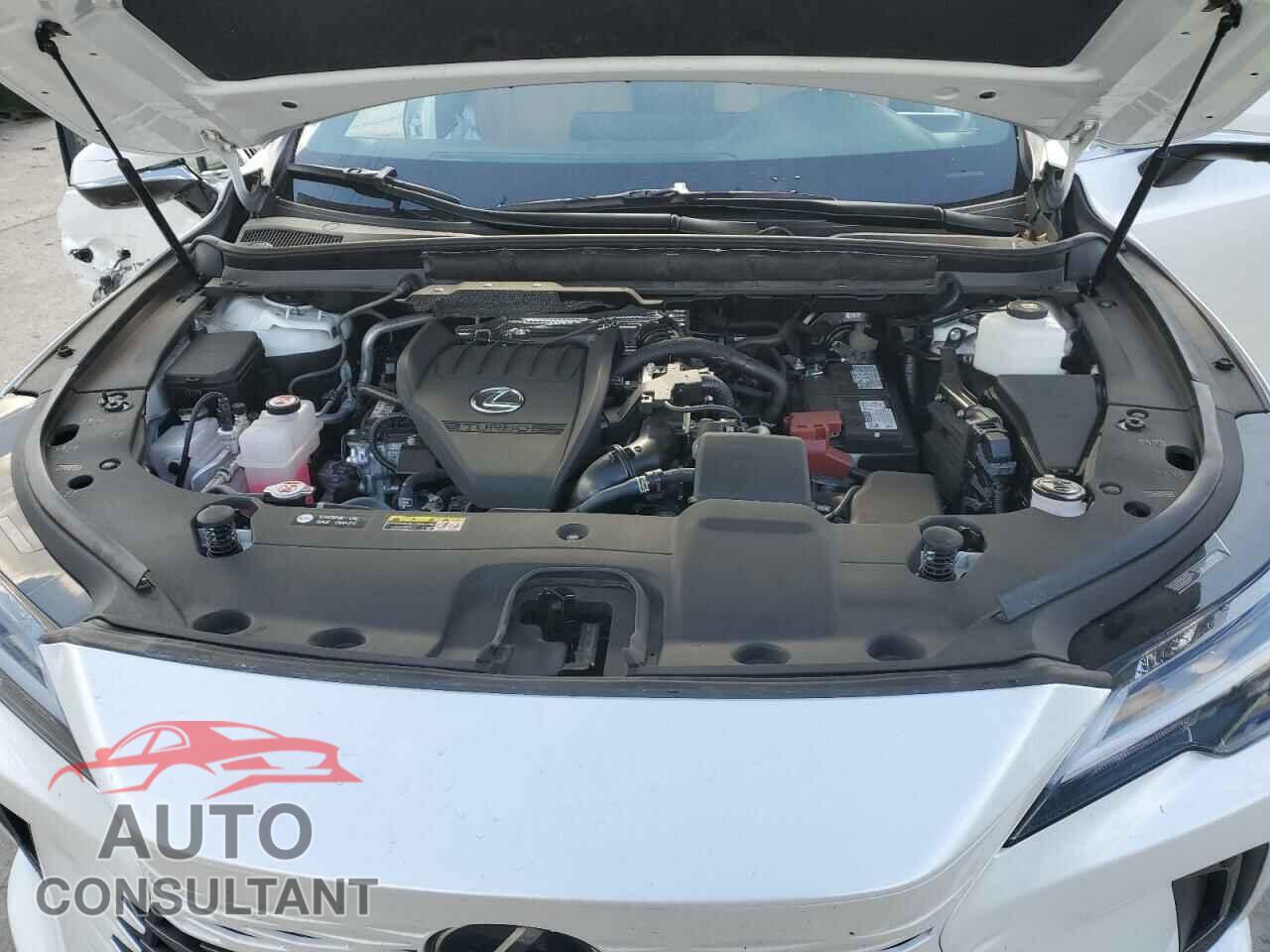 LEXUS RX350 2023 - 2T2BAMCA3PC024810