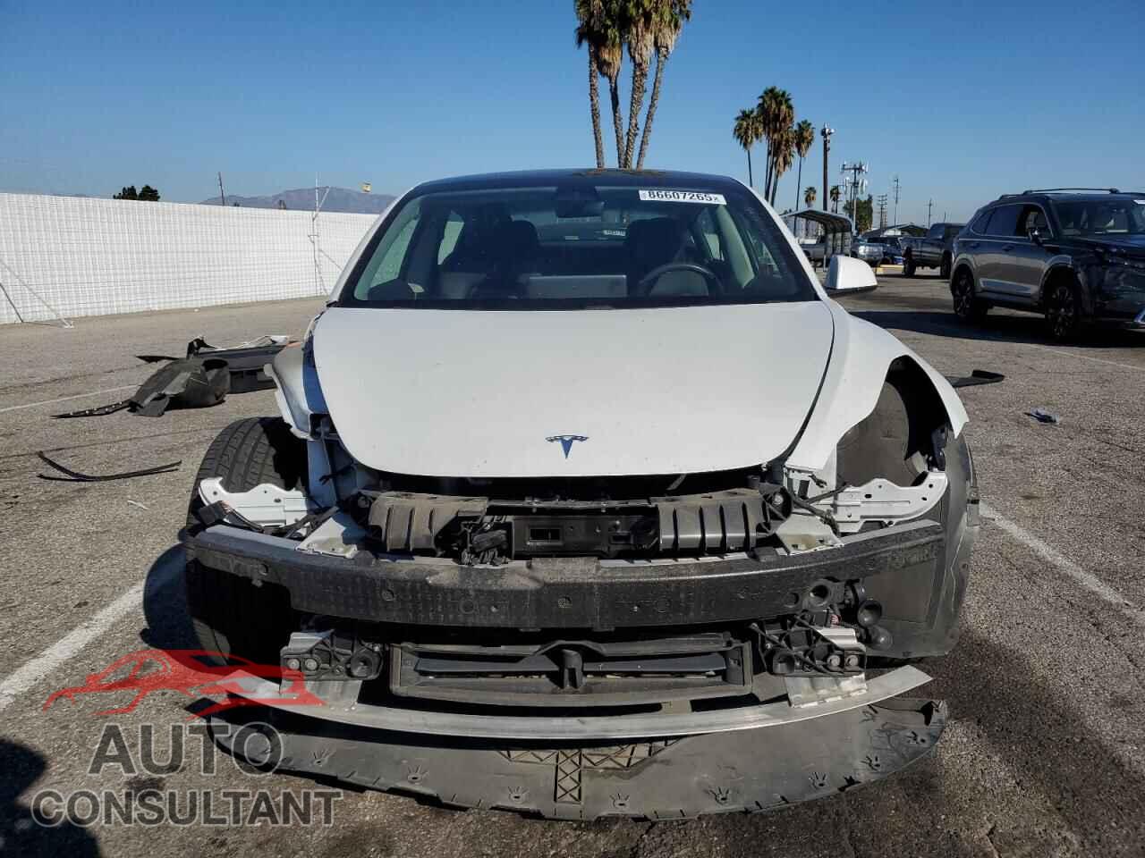 TESLA MODEL 3 2021 - 5YJ3E1EA8MF014631