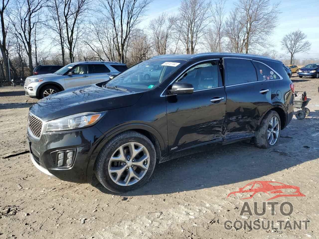 KIA SORENTO 2016 - 5XYPKDA16GG032222
