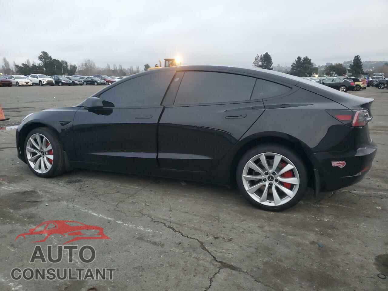 TESLA MODEL 3 2019 - 5YJ3E1EBXKF391371