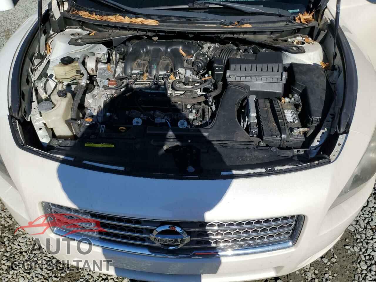 NISSAN MAXIMA 2011 - 1N4AA5AP2BC832182