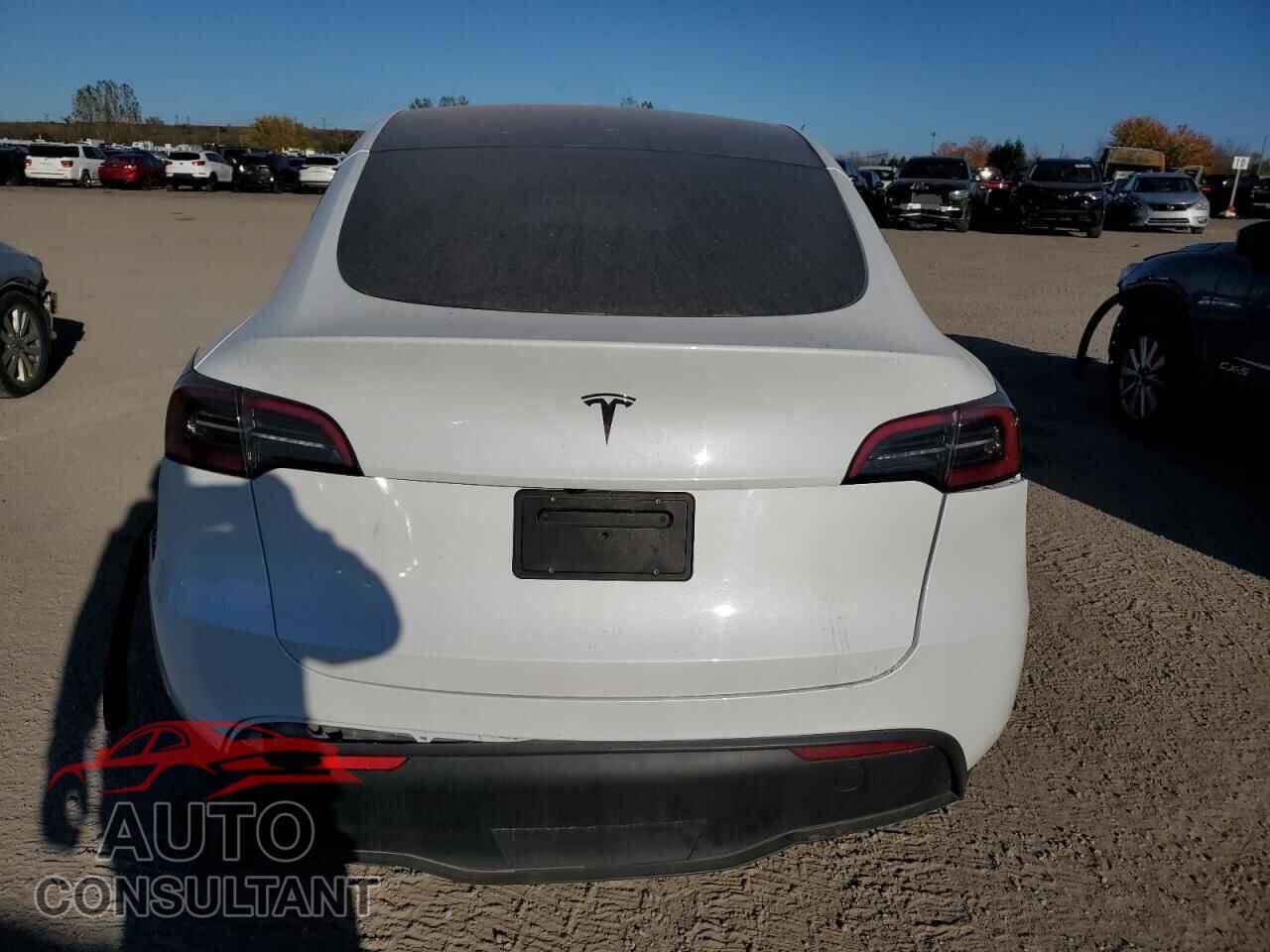 TESLA MODEL Y 2024 - 7SAYGDED4RF076727
