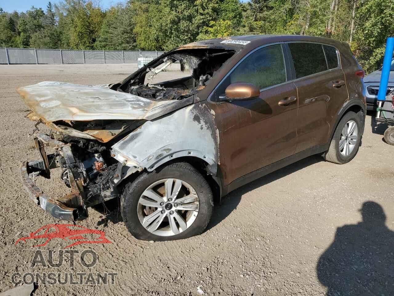 KIA SPORTAGE 2017 - KNDPM3AC5H7146944