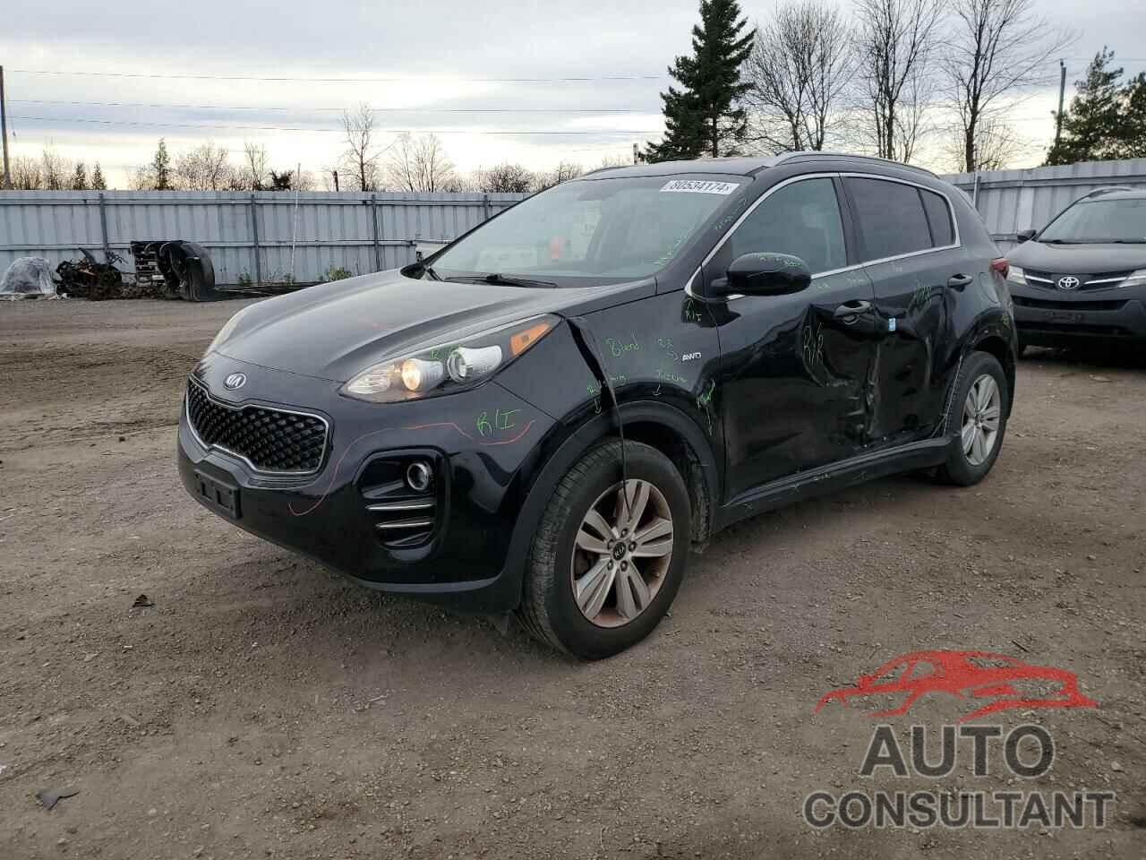 KIA SPORTAGE 2017 - KNDPMCACXH7176974