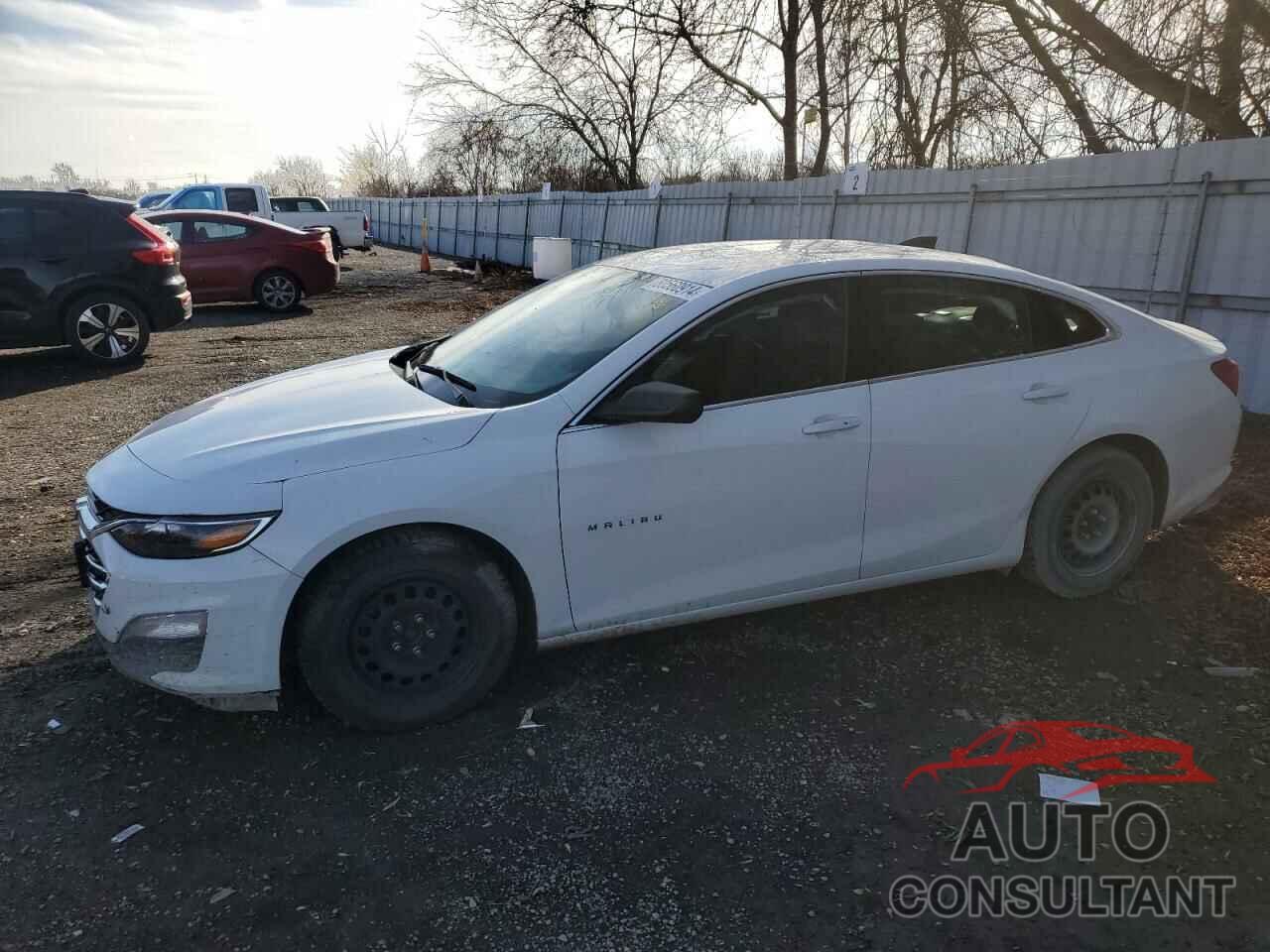 CHEVROLET MALIBU 2019 - 1G1ZB5ST0KF168283