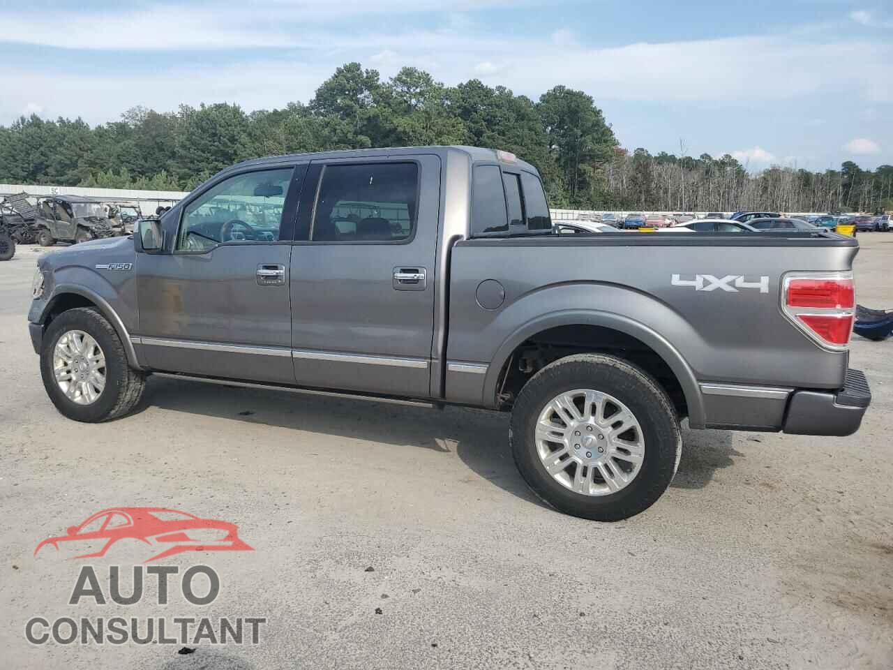 FORD F-150 2010 - 1FTFW1EV2AFA28061