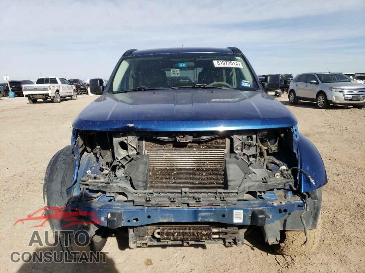 DODGE NITRO 2010 - 1D4PT2GK2AW145955
