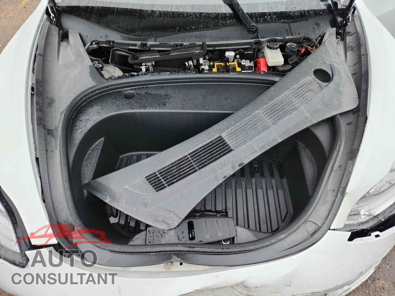 TESLA MODEL 3 2021 - 5YJ3E1EC8MF856435