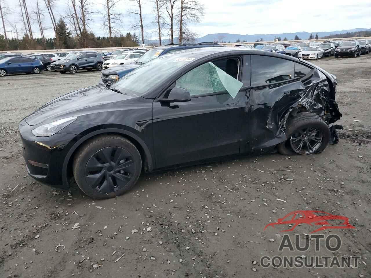 TESLA MODEL Y 2024 - 7SAYGAEE8RF116542