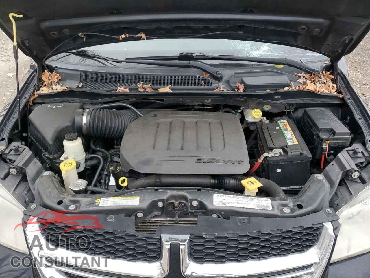 DODGE CARAVAN 2011 - 2D4RN3DG3BR602789