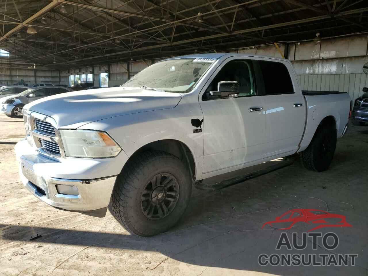 DODGE All Models 2010 - 1D7RV1CT8AS202696