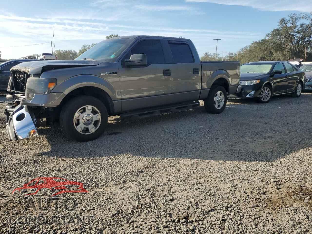 FORD F-150 2013 - 1FTEW1CM9DFD49654