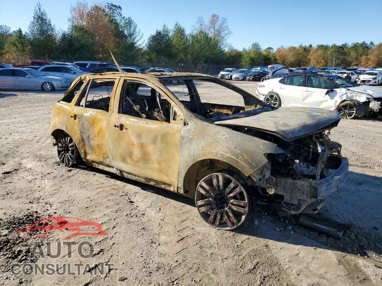FORD EDGE 2009 - 2FMDK39CX9BA74690