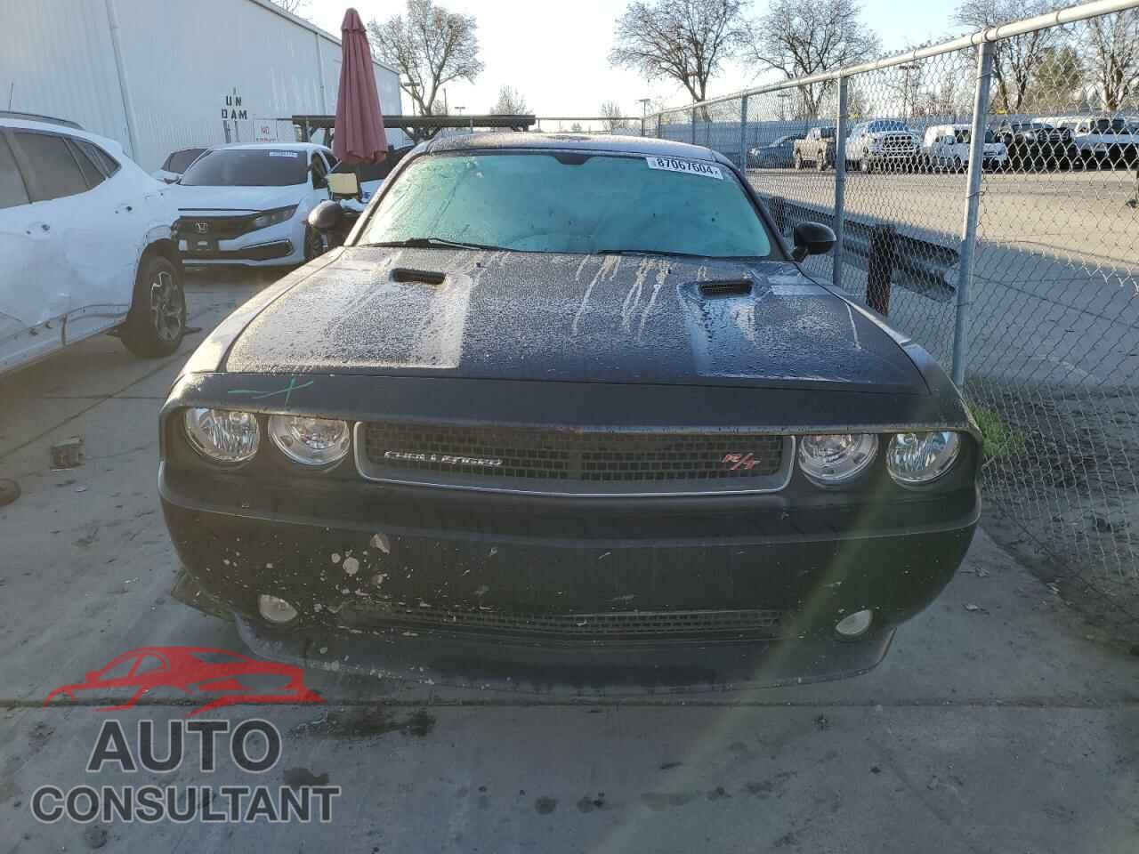 DODGE CHALLENGER 2013 - 2C3CDYBTXDH535222