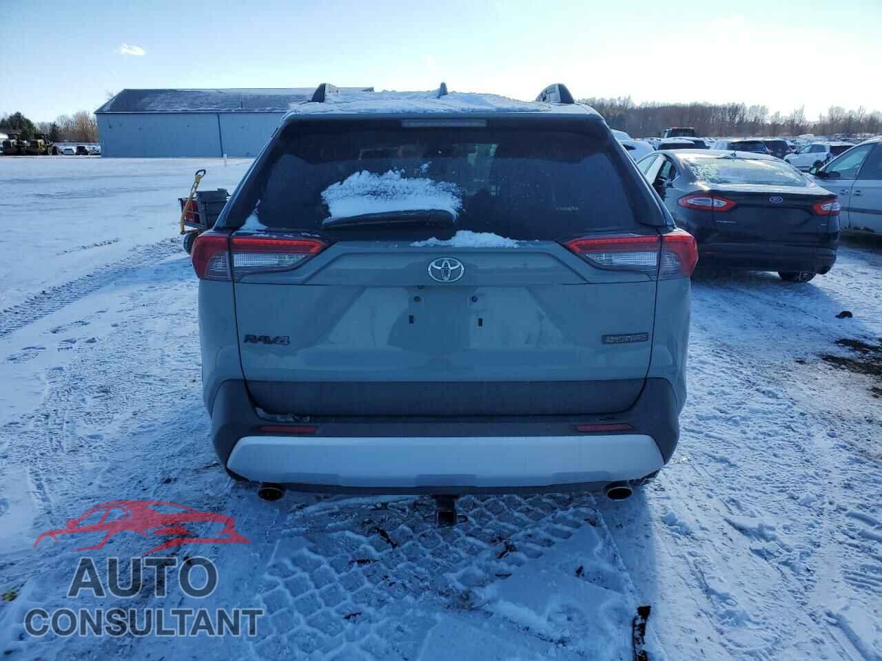 TOYOTA RAV4 2019 - 2T3J1RFV2KC040010