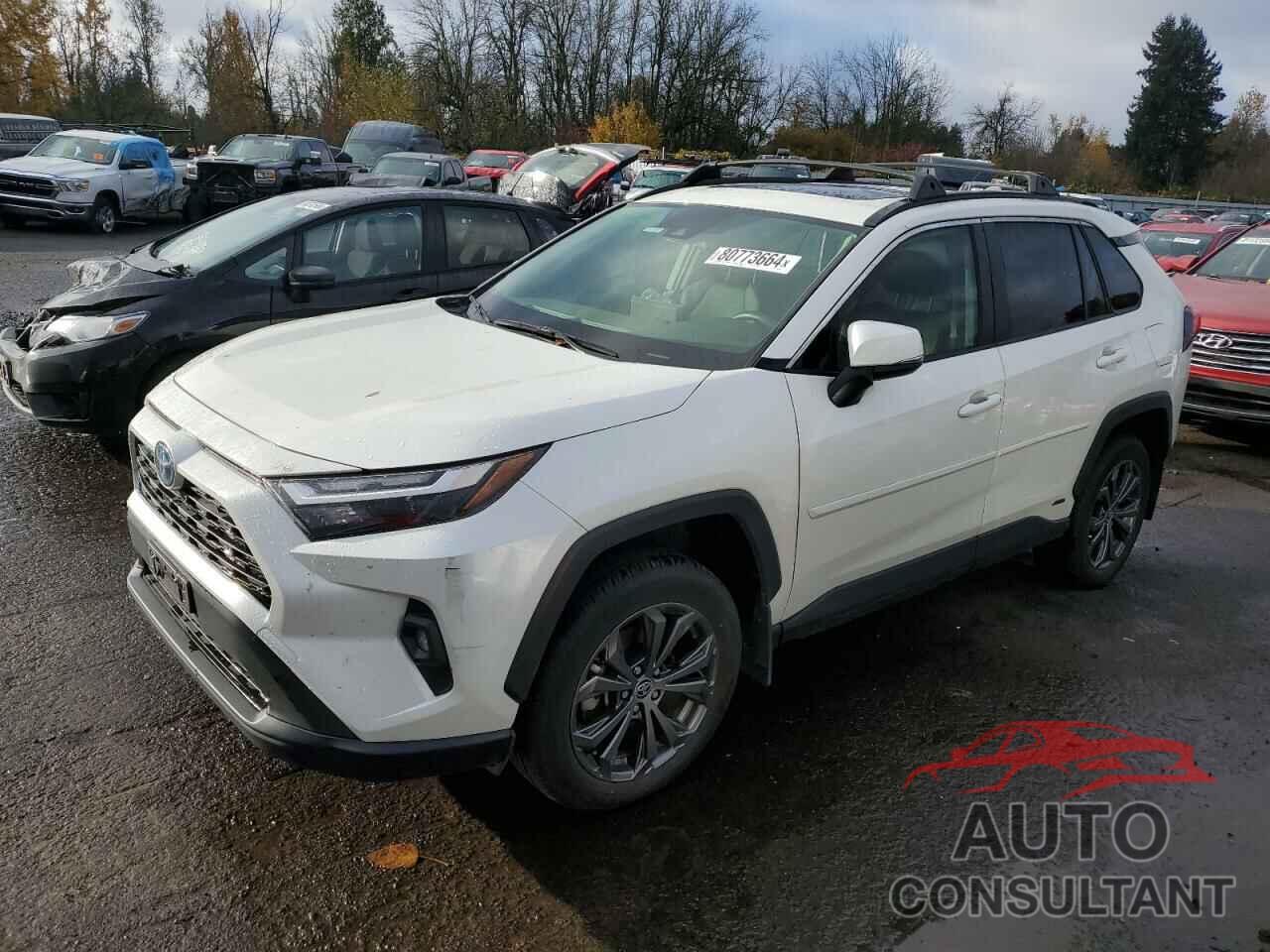 TOYOTA RAV4 2022 - JTMB6RFV9ND529574