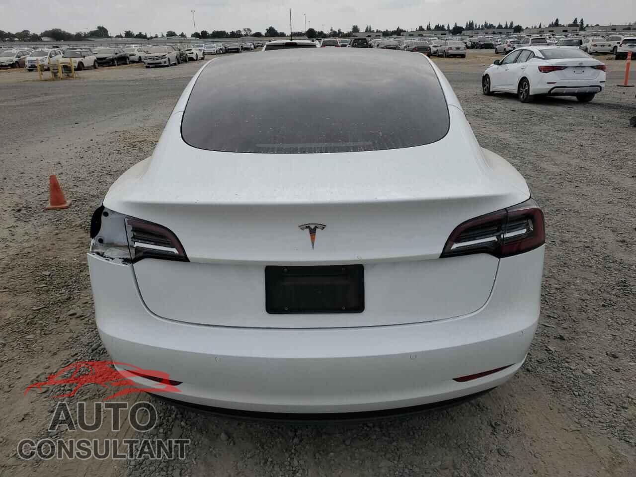 TESLA MODEL 3 2021 - 5YJ3E1EA5MF063527