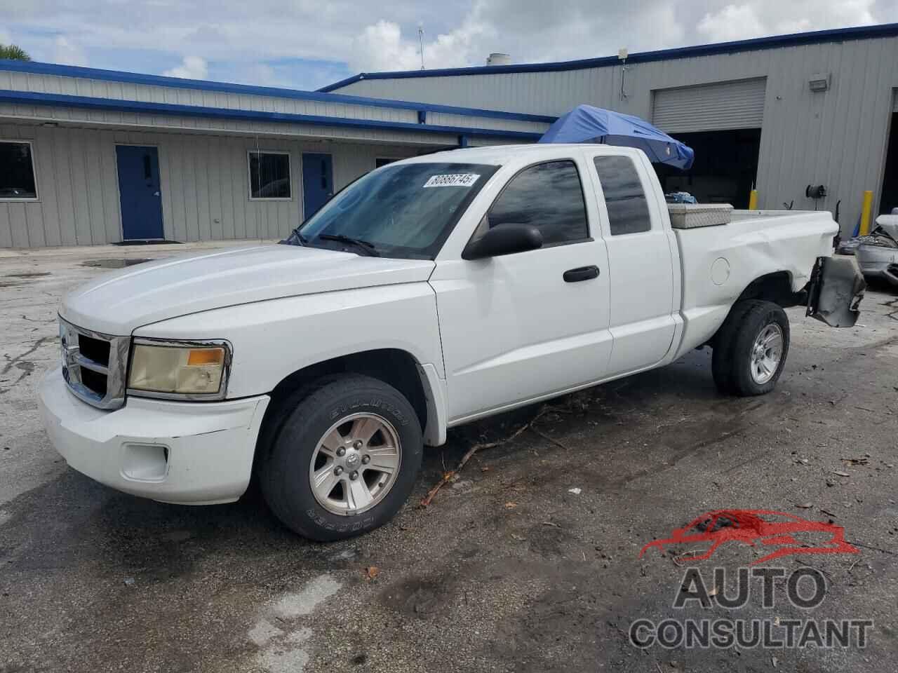 DODGE DAKOTA 2011 - 1D7RE2BK9BS620703